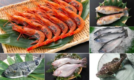 越前がにだけじゃない！ おさかな王国・福井が誇る魚介6選。あなたのお気に入りはどれ？