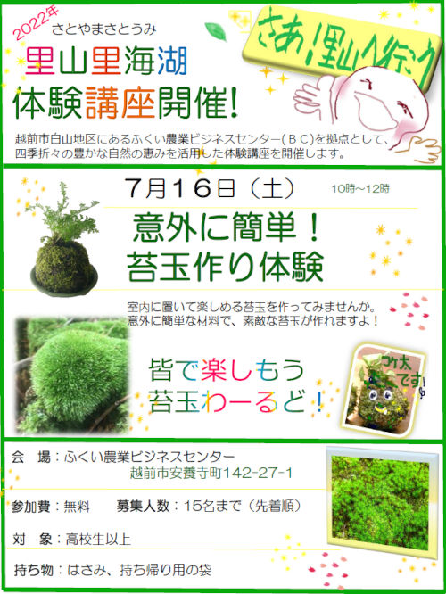意外に簡単！苔玉作り! メイン画像
