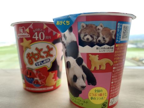 「おっとっと」に鯖江市西山動物園のレッサーパンダが登場！ 6/26(日)はお菓子提示でオリジナルグッズがもらえるよ。