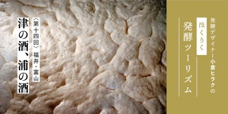発酵デザイナー小倉ヒラクの《ほくりく発酵ツーリズム》-第14回- 津の酒、浦の酒（福井・富山編）