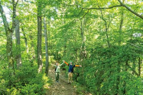 「軽登山×瞑想」でリフレッシュしよう。ストレスフリーハイキングのすすめ。