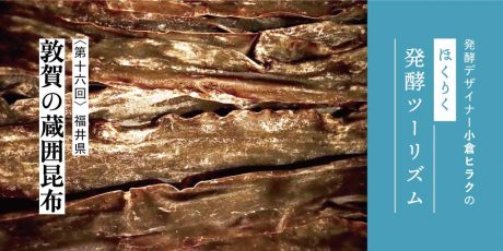 発酵デザイナー小倉ヒラクの《ほくりく発酵ツーリズム》-第16回-敦賀の蔵囲昆布（福井県編）