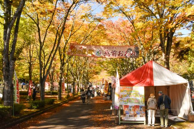 第45回 九頭竜紅葉まつり メイン画像