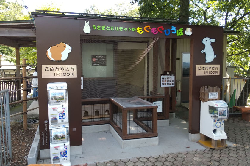 福井市の足羽山公園遊園地にある動物園に出来たエサやりコーナー「もぐもぐ広場」に行ってきたよ♪