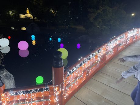 越前市の紫式部公園にライトアップを見に行ってきたよ♪ 開催は10/22(土)まで。