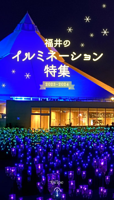 【2023～24年最新版】福井のイルミネーション特集☆冬空を美しく彩る灯りを見に行こう♪