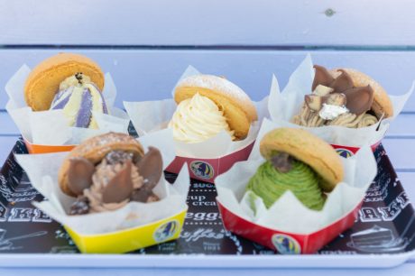 福井初のブッセ専門店「Bon bons しずく」が坂井市の住宅地に10月オープン！ 盛り盛りクリームとしっとり生地、ビジュアルのかわいさは手土産にもぴったり！