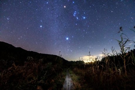 ススキと見上げる星空！ 勝山市の池ヶ原湿原で星を見てきました！ 【ふくい星空写真館】