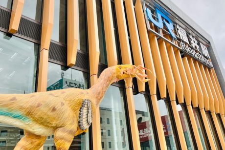 工事中のJR福井駅新幹線駅舎を一足先に見学！ 越前がにを食べる恐竜！？ など、映える恐竜たちが大量出現していたよ♪