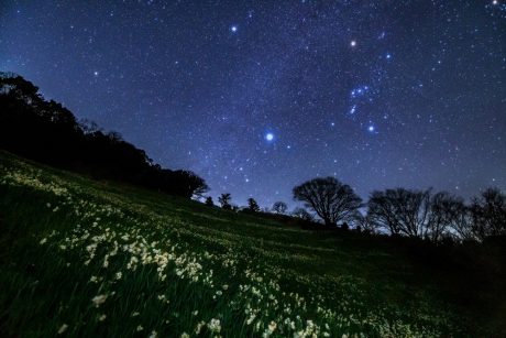 水仙畑で星空観察☆越前町の梨子ヶ平園地で星を見てきました！【ふくい星空写真館】