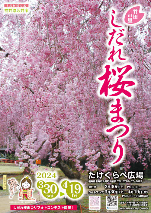 竹田の里しだれ桜まつり メイン画像