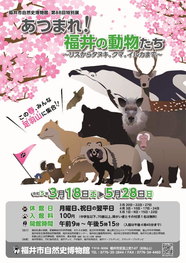 特別展「あつまれ！福井の動物たち～リスからタヌキ、クマ、イルカまで～」