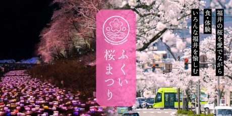 福井市で第38回ふくい桜まつりが開催！ 桜並木のライトアップやイベントも開催するよ！【3/25(土)～4/9(日)まで】