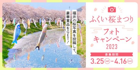 福井県内の「桜」の写真を投稿して、素敵な賞品ゲット！ 「私の好きな桜～ふくい桜まつりフォトキャンペーン2023」がはじまるよ。