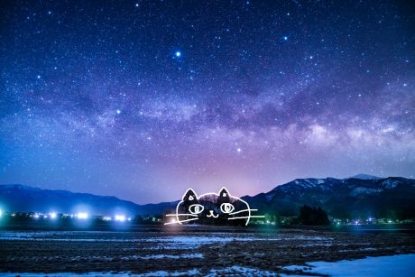 ねこ林と見上げる天の川！ 大野市にある山伏岩周辺で星を見てきました！ 【ふくい星空写真館】