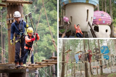 巨大なキノコがにょきにょき！？ 池田町のツリーピクニックアドベンチャーに子ども用新エリア「コベンチャーパーク」ができたよ。