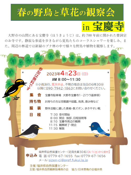 自然観察会「春の野鳥と草花の観察会in宝慶寺」 メイン画像