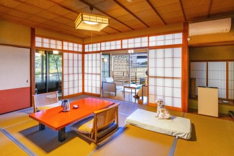 石川県片山津温泉にある老舗温泉旅館「湯快わんわんリゾート 矢田屋松濤園」はわんちゃんと一緒に温泉を楽しめる、風光明媚なお宿です。