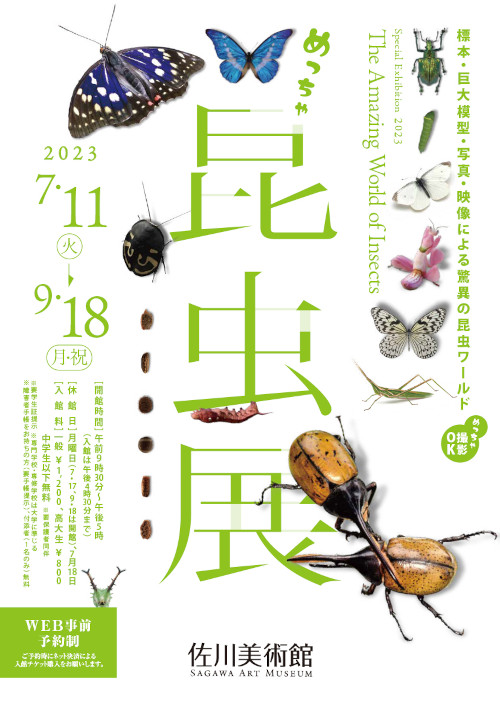 【ギフト】 昆虫展　佐川美術館　観覧無料券　2枚セット