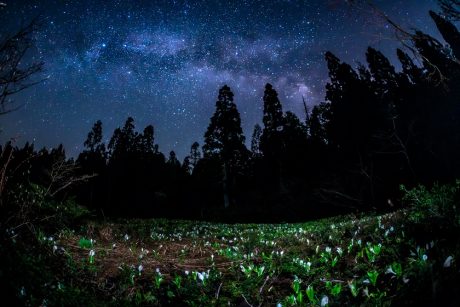 水芭蕉と天の川☆勝山市にある取立山で星を見てきました！【ふくい星空写真館】
