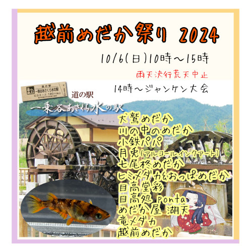 越前めだか祭り2024 ｜福井の旬な街ネタ&情報ポータル イベント ふーぽ