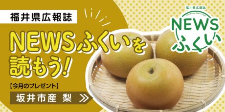 毎月第4日曜日発刊の福井県広報誌『NEWSふくい』を読もう♪ 2023年8月号は「坂井市産 梨」をプレゼント！