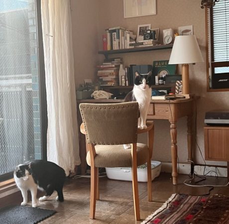 【犬と猫と人間（僕）の徒然なる日常。】第7話：僕と誰かの1分、1秒。