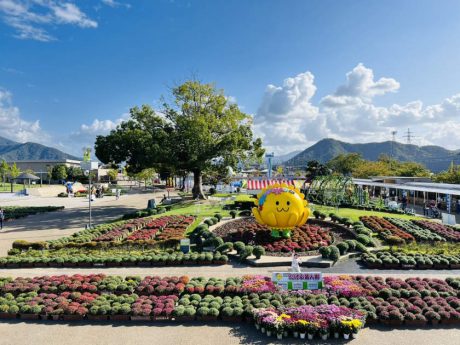 今年も「たけふ菊人形」が面白い！ 週末イベントやフォトスポットのみどころを徹底ガイド♪ 2023年は10/6(金)～11/5(日)で開催中！