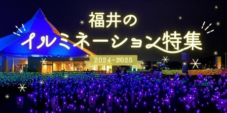 【2024～2025年最新版】福井のイルミネーション特集☆冬空を美しく彩る灯りを見に行こう♪