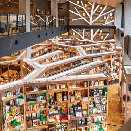 福井県・石川県の話題の図書館＆書店まとめ。新しい世界に出合える本の森を歩こう。