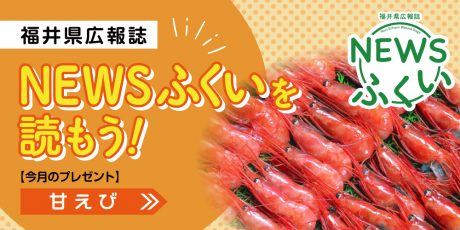 毎月第4日曜日発刊の福井県広報誌『NEWSふくい』を読もう♪ 2024年4月号は「甘えび」をプレゼント！