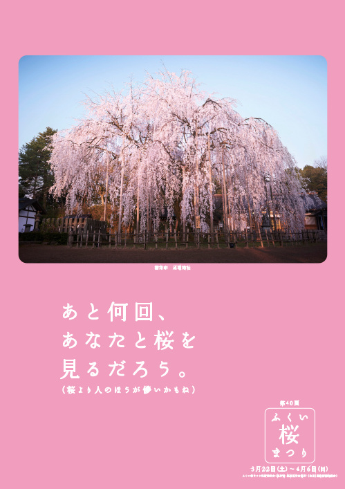 第40回 ふくい桜まつり