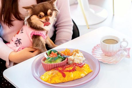 RS cafe+Dog(アールズカフェプラスドック)