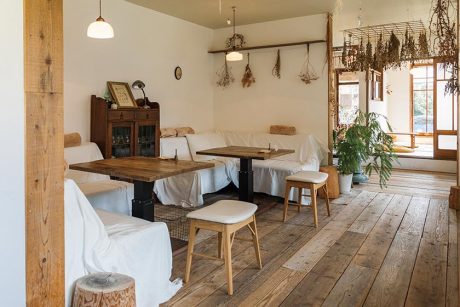 ゆったり過ごせる福井＆石川のカフェ4選。のどかな自然に癒される森のカフェへようこそ。