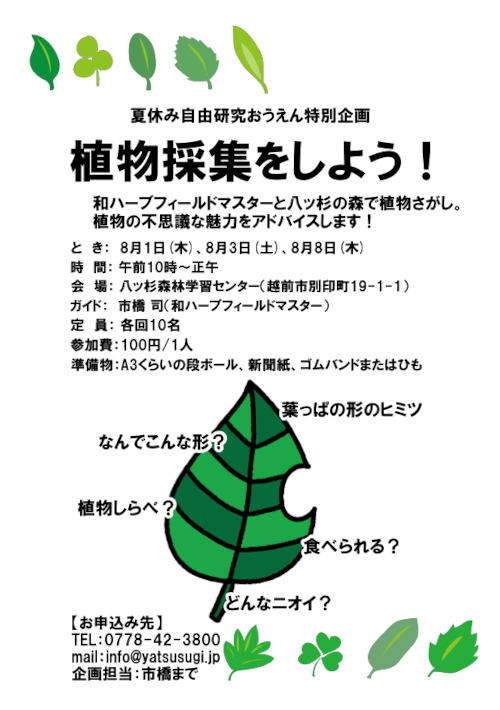 八ッ杉の森で植物採集しよう メイン画像