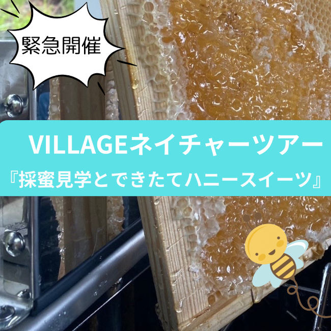 【定員に達したため締め切りました】VILLAGEネイチャーツアー～採蜜見学とできたてハニースイーツ メイン画像