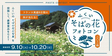 福井県内の「そばの花」の写真を投稿して、フランス旅行を当てよう！ 「ふくいそばの花フォトコン2024」がはじまるよ。