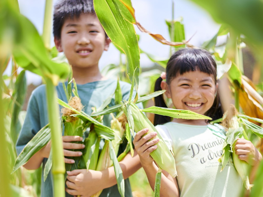 いけだの畑は直売所～野菜収穫はピクニックだ2024夏 メイン画像