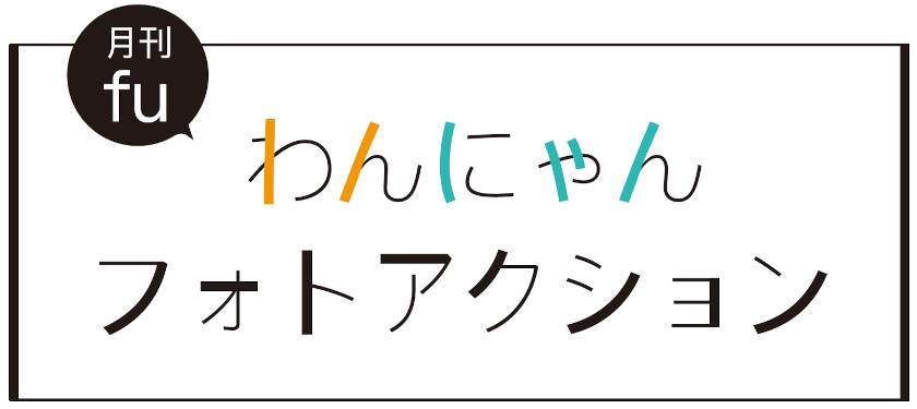 【8/28(水)締切】能登半島地震の犬猫支援にもなる「月刊fuわんにゃんフォトアクション」を開催中！ 愛犬と愛猫の“おもしろかわいい”写真を送ってください！！