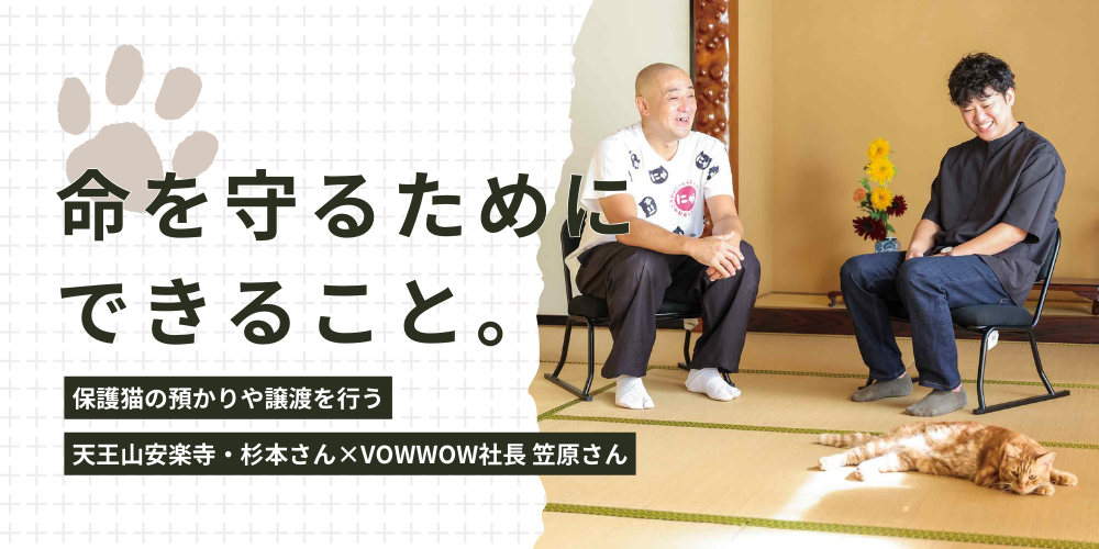 猫と私たちの未来のために。保護猫活動を続ける天王山安楽寺・杉本さん×VOWWOW・笠原さん【対談】