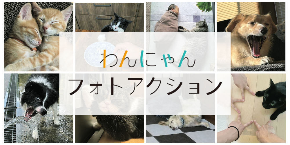 愛犬・愛猫のおもしろかわいい写真が大集合！ 「月刊fuわんにゃんフォトアクション」の入選作品を一挙紹介します。