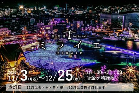 敦賀港イルミネーション ミライエ2025