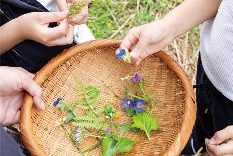 公園や庭でもできる秋の外遊びアイデア3選！ 自然と触れあい子どもの感性を育もう。