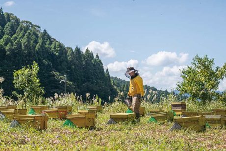 福井県小浜市「HAOTO」の養蜂場へ。芳醇な味わいのハチミツが集まる蜂の楽園づくり。