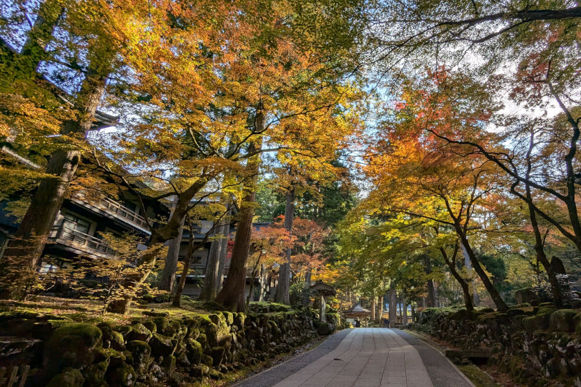 【2024年秋】福井県永平寺町・大本山 永平寺の【紅葉】状況は？見頃や周辺グルメも紹介。