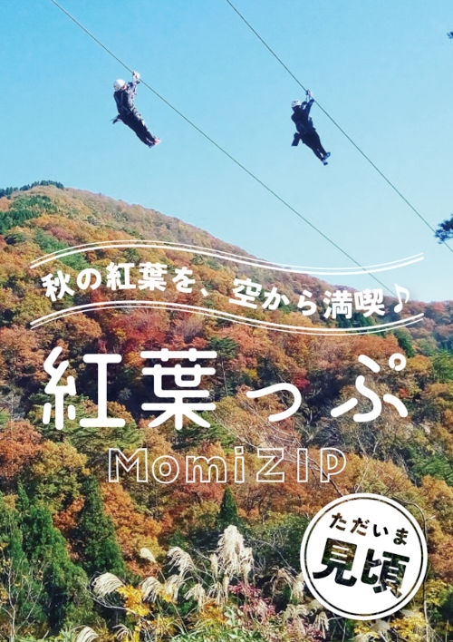 MoniZIP(紅葉ジップ） メイン画像