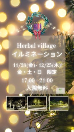 青葉山ハーバルビレッジ イルミネーション