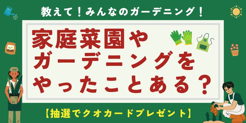 教えて！「家庭菜園やガーデニングしてる？」【福井のみんなにちょこっとアンケート】