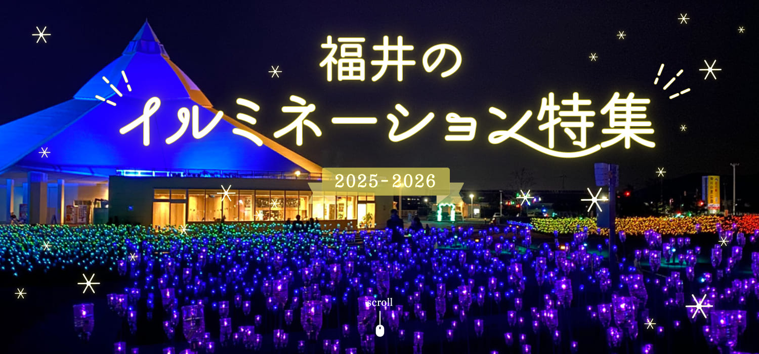 【2025～2026年最新版】福井のイルミネーション特集☆冬空を美しく彩る灯りを見に行こう♪