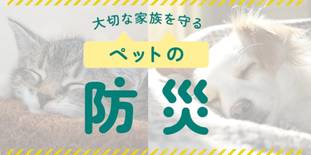 ペットの災害対策グッズ、飼い主の心構えと対策を紹介。知識と備えで大切な家族を守ろう。